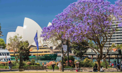 Kinh Nghiệm Du Lịch Úc Mùa Xuân Từ A Đến Z